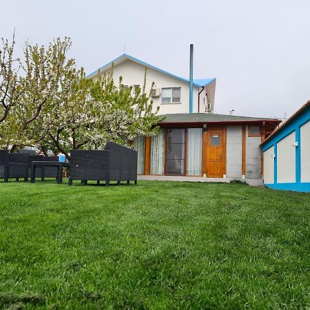 Casa Matei 호텔 마흐무디아 외부 사진