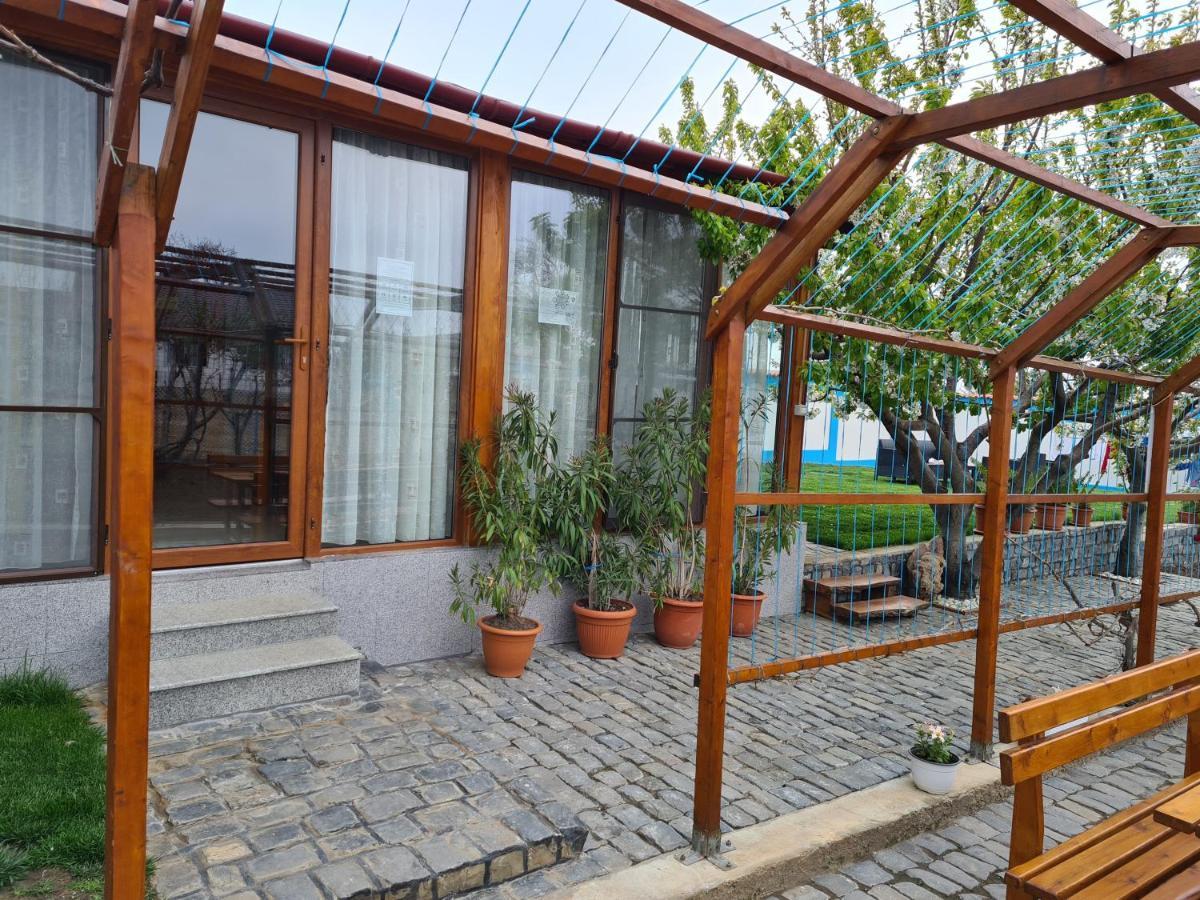 Casa Matei 호텔 마흐무디아 외부 사진